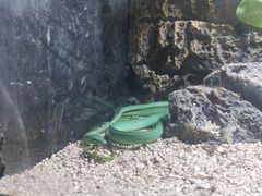 -海南热带野生动植物园