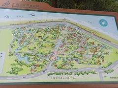-上海滨江森林公园