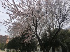 -堤角公园