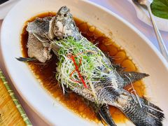 -骏莱海鲜鱼港(五角场店)