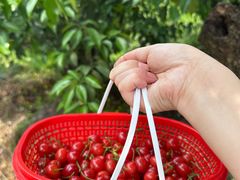 -樱桃山旅游景区