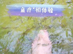 -大理地热国