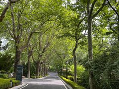 -棒棰岛宾馆景区