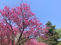 -白塘生态植物园