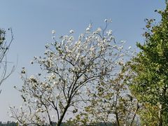 -露天矿生态公园