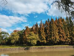 -中国浦东干部学院