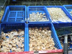 -阿毛饭店首店·宁波老字号(文化广场店)
