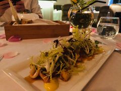 -蝶舍·MAISON PAPILLON