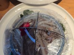 -鸽子窝(宋庄店)