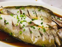 清蒸白鱼-船老大饭店(太滆街店)