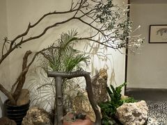 -青藤茶馆(南山路店)
