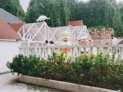 -金庭庄园酒店-停车场