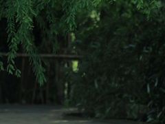 -贵阳市花溪国家城市湿地公园