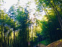 -广州市石门国家森林公园