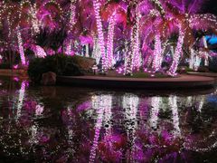 -海花岛旅游度假区