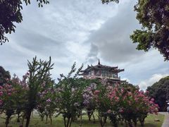 -荔枝公园(福田区)