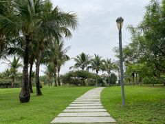 -深圳湾公园(南山区)