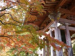 -醍醐寺