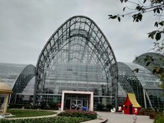 -南山植物园