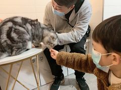 -猫房·猫吧·猫咖(龙湖时代汇店)