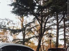 -八大关景区