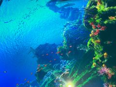 -海合安青岛极地海洋公园