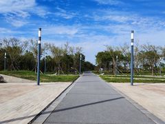 -东堤公园