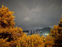 -长安公园