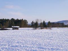 -北极村旅游风景区