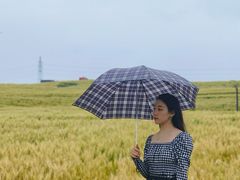 -杭州湾海上花田景区