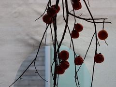 -曲廊院(东四十一条店)