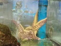 -富临港·蒸汽海鲜·手抓海鲜·炒菜(栈桥店)