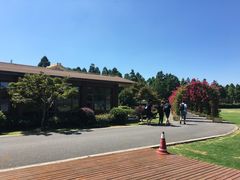 -崇明东平国家森林公园烧烤房车露营地