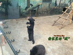 -西安秦岭野生动物园