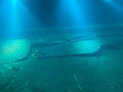 -白鹤梁水下博物馆