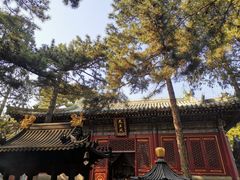-潭柘寺景区