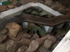 iphone_upload_pic-春盛渔府(牛首山店)