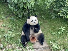 -青藏高原野生动物园