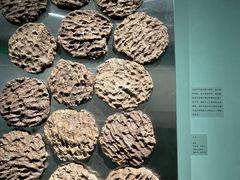 -西藏文化博物馆