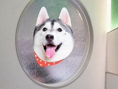 -青花椒花椒鱼(合生汇店)