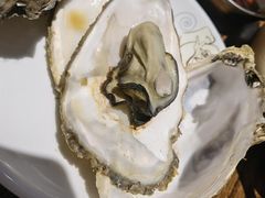 小锅生蚝-蚝堡海鲜·威海菜·海肠捞饭·烧烤·亚洲吃蚝公司(幸福门店)