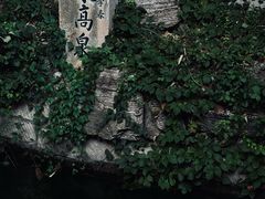 -趵突泉景区
