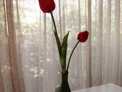 -竹雨堂创意中国菜(裕华店)