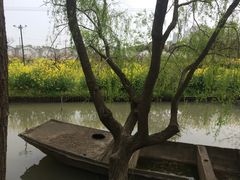 -南汇桃花村