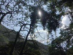 -赤水丹霞旅游区·大瀑布