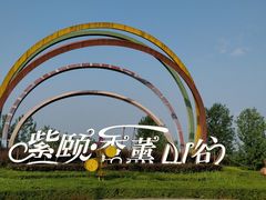 -紫颐香薰山谷景区