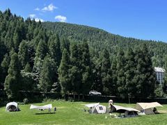 -武陵山森林公园