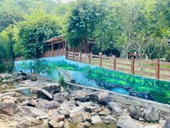 -广州白江湖森林公园