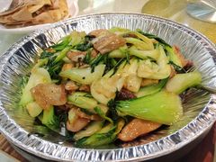 -蒲园食堂(中山大学广州校区南校园店)