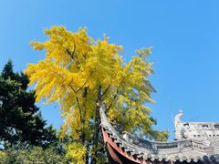 -龙华寺